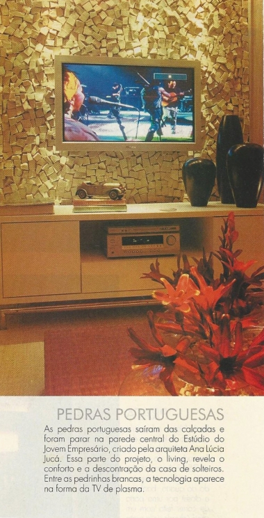 Ana Lúcia JucáARTEFACTO – 2006