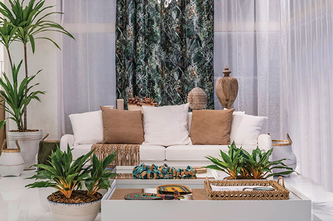 Ana Lúcia Jucá(Português do Brasil) A COR DA CASA – MARÇO/2018